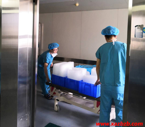 西安蜜桃久久久亚洲精品无码冰块